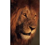 The Gospel of Immanuel: Jesus is the Lamb of God