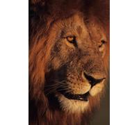 The Gospel of Immanuel: Jesus is the Lamb of God