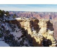 The Grand Canyon / Tea Time in Japan