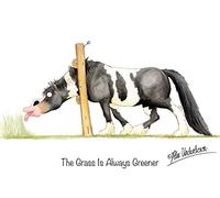 "The Grass Is Always Greener" Funny Coloured Horse Greeting Card by Alex Underdown
