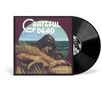 Grateful Dead - Wake Of The Flood - 1LP 50th Anniversary