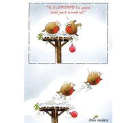 The Great British Card Company Birdwit Hoping for Turkey Funny Christmas Greeting Card Humour Xmas Cards BWHX0007