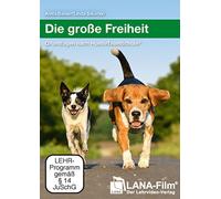 The great dom: basics according to HundeTeamSchule®