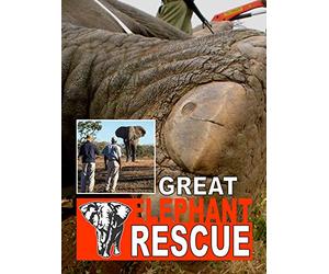 The Great Elephant Rescue