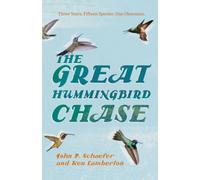 The Great Hummingbird Chase