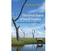 The Great Power of Small Nations: Indigenous Diplomacy in the Gulf South (Early American Studies)