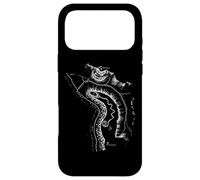 The Great Serpent Mound Ancient Vintage Geoglyph Case for iPhone 17 Pro Max