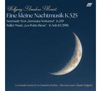 The Great Stable And The King's Chamber, Malgoire Jean-Claude - A Little Night