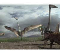 The Great Survivors
