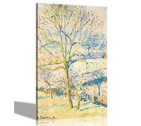 The Great Walnut Tree By Camille Pissarro Canvas Wall Art Prints Quality Poster Pictures Framed Artwork Hanging Wall Decor Home Office Bedroom Photos Large 50 x 76cm (20 x 30 inches)