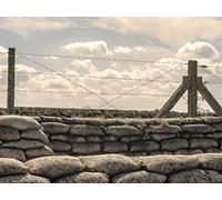 The Great War Begins - 1914 - 16