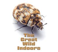 The Great Wild Indoors