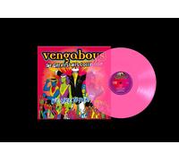 The Greatest Hits Collection by Vengaboys (Vinyl Record 2024)