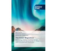The Green Magnetism: Engineering a Ziziphus mauritiana-Derived Magnetite/Biochar Nanocomposite for Heavy Metal Adsorption from Wastewater
