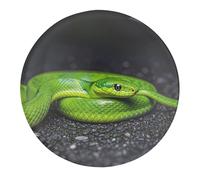 The Green Snake Fridge Magnets for Home, Magnetic Refrigerator Sticker for Whiteboard, Circle Waterproof Fridge Magnet for Refrigerator, Locker, Car Garage, Office Decor 1 PCS