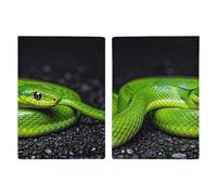 The Green Snake Passport Protector Slim Passport Holder for Travel Essentials Compact Passport Sleeve Lightweight Wallet for Travel, style, 20.3x13.8cm