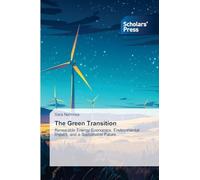 The Green Transition: Renewable Energy Economics, Environmental Impact, and a Sustainable Future