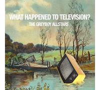 The Greyboy Allstars - What Happened To Television? [Us Import]