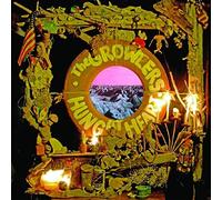 The Growlers - Hung At Heart