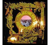 THE GROWLERS - HUNG AT HEART CD NEW