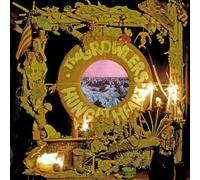 The Growlers - Hung At Heart [VINYL]