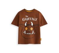 The Gruffalo & Friends Boys T-Shirt | Kids Woodland Creature Storybook Graphic Tee in Brown | Julia Donaldson Story Tale Book Apparel Top | Character Movie Merchandise Gift