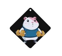 The Guinea Pig Weightlifting Car Aromatherapy Tablets