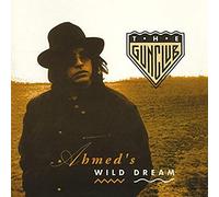 The Gun Club - Ahmed's Wild Dream