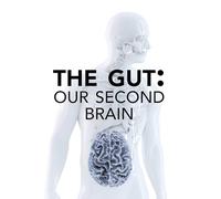 The Gut: Our Second Brain