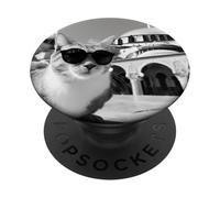 The Hagia Sophia Grand Mosque With A Cat Wearing Sunglasses PopSockets Adhesive PopGrip
