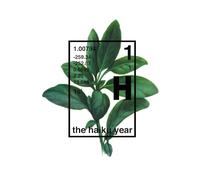 The Haiku Year