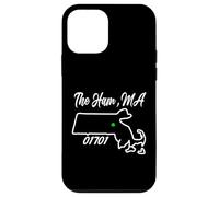The Ham, MA 01701 Massachusetts State Map Irish Pride Case for iPhone 12 mini
