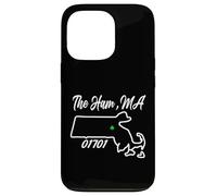 The Ham, MA 01701 Massachusetts State Map Irish Pride Case for iPhone 13 Pro