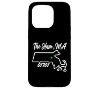 The Ham, MA 01701 Massachusetts State Map Irish Pride Case for iPhone 15 Pro