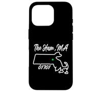 The Ham, MA 01701 Massachusetts State Map Irish Pride Case for iPhone 16 Pro