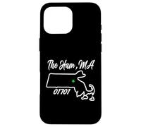 The Ham, MA 01701 Massachusetts State Map Irish Pride Case for iPhone 16 Pro Max
