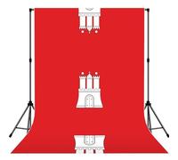 The Hamburg Flag Print Photography Backdrop - 152 Ã- 213 cm Portable Backdrop Curtains for Photo Shoot Backdrop for Home Party Use