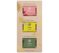 The-Handmade-Soap Hand-care Solid-hand-soapSoap bar gift set Soap Lemongrass 100 g + Soap Lavender 100 g + Soap Coriander Seed 100 g