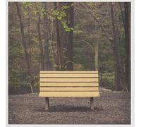 STREETLIGHT MANIFESTO - THE HANDS THAT THIEVE (CLEAR VINYL) [VINYL]