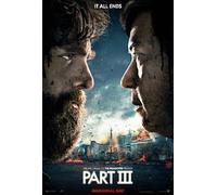 The Hangover Part - 3 (Hindi)