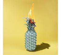 The Happy Fits Under The Shade of Green Explicit Lyrics (CD) (US IMPORT)