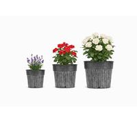 The Happy Garden Galvanised Metal Indoor Planter Pots - Set of 3 Decorative Plant Pot with Drainage, Metal Planters for Indoor & House Plants, Available in Small, Medium & Large Combo Set (Grey)