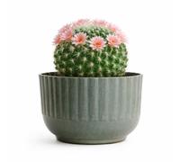 The Happy Garden Galvanised Metal Planter Pot, Medium Size Metal Plant Pot for Windowsill, Indoor & Outdoor Use, Rust-Resistant with Drainage Holes (Ribbed)