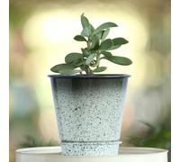 The Happy Garden Galvanised Printed Pot - 5" CAR-DOVA White Antique Planter with Bottom Plate, Gradient Black to Silver Finish, Indoor Outdoor Decorative Pot for Plants, Herbs & Flowers