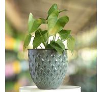 The Happy Garden Indoor Plant Pot Galvanised Metal Planter - 15cm Dia, Medium Size, Blue Decorative Plant Pot for Indoor & Outdoor Plants, Flowers & Succulents