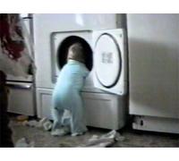 The Harder They Fall