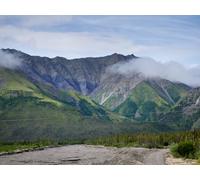 The Hardest Hunt on Earth