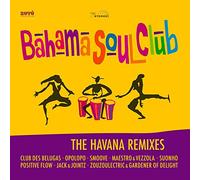 The Havana Remixes