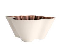 The HC Companies 6 Inch Venus Succulent Planter - Unique Decorative Shallow Plastic Plant Pot with Drainage, Vanilla Bisque