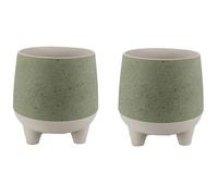 The HC Companies Planter, Sage, 6" (Pack of 2)